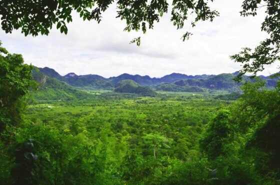 14 Days in Thailand: From Bustling Cities to Tranquil Islands