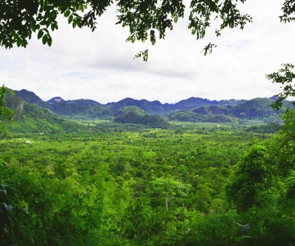 14 Days in Thailand: From Bustling Cities to Tranquil Islands