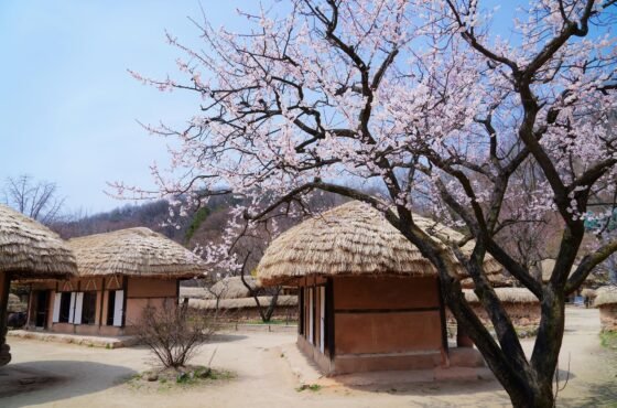 Discover South Korea in 11 Days: From Historic Temples to Majestic Mountains and Beaches