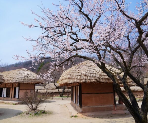 Discover South Korea in 11 Days: From Historic Temples to Majestic Mountains and Beaches