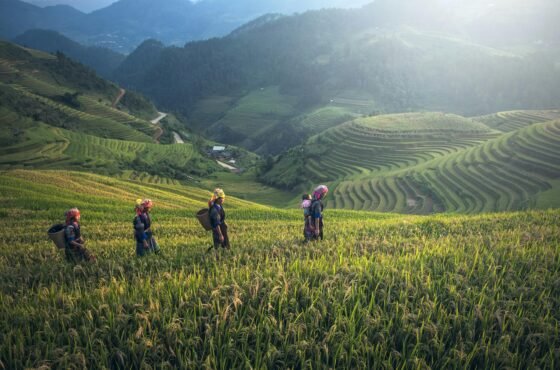 Vietnam Signature Experience –14-Day North to South Journey