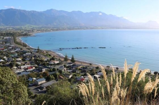 6 Days in Christchurch: Explore Kaikoura, Arthur’s Pass & Mt Cook with Guided Day Tours