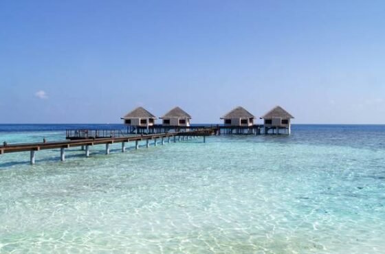 6 Days in Male: Deep Sea Exploration, Snorkeling