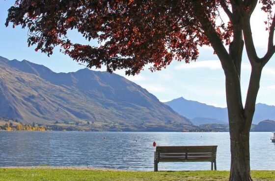 5 Days in Wanaka: Epic Journey to Fox & Franz Josef Glaciers