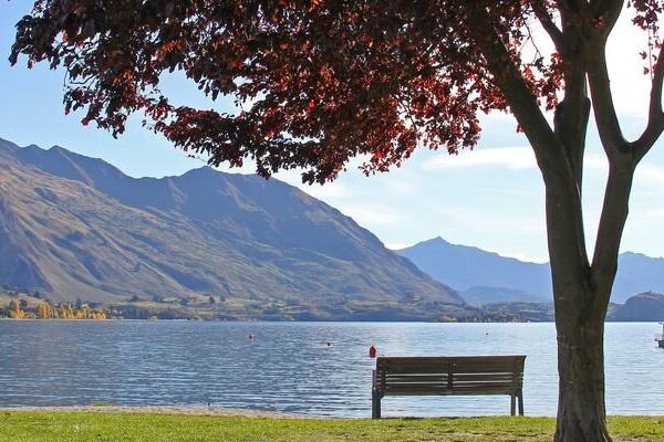 5 Days in Wanaka: Epic Journey to Fox & Franz Josef Glaciers