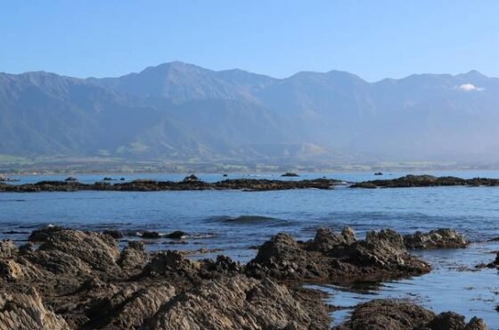 9 Days in Wanaka & Christchurch by Bus: Franz Josef, Kaikoura & Arthur’s Pass Adventure