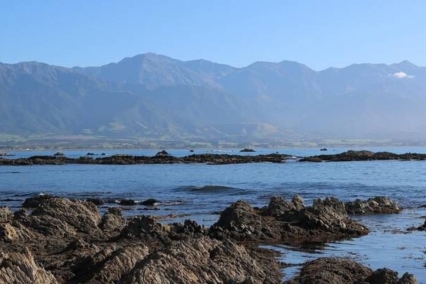 9 Days in Wanaka & Christchurch by Bus: Franz Josef, Kaikoura & Arthur’s Pass Adventure