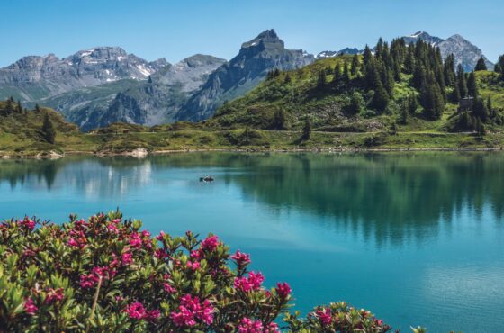 7 Days Swiss Icons: Zurich, Titlis, Lucerne & Rhine Falls