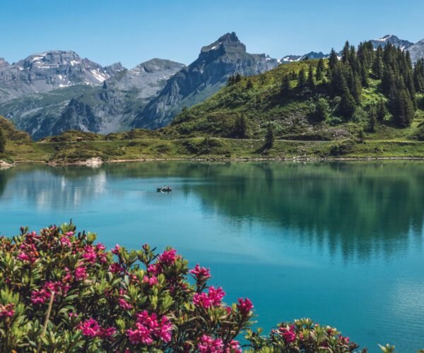 7 Days Swiss Icons: Zurich, Titlis, Lucerne & Rhine Falls