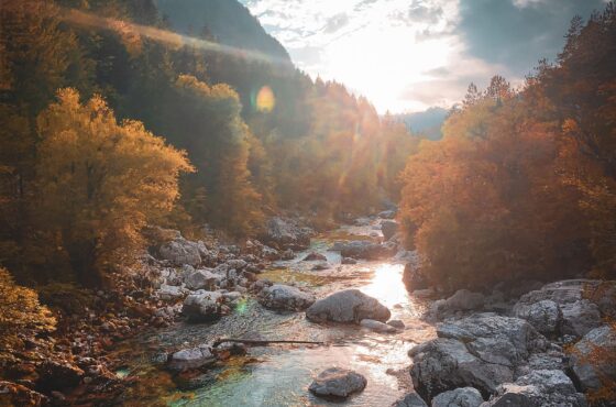 6 Days Slovenia Nature Escape