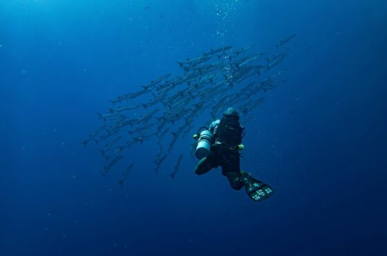 7 Days Zanzibar Tropical Escape