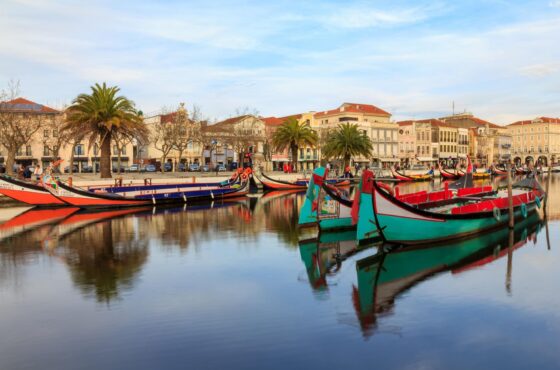 7 Days Portugal Highlights by Train (Porto and Lisbon)