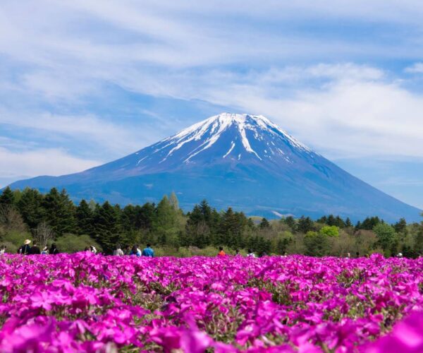 7-Day Tokyo, Mount Fuji & Hakone Discovery