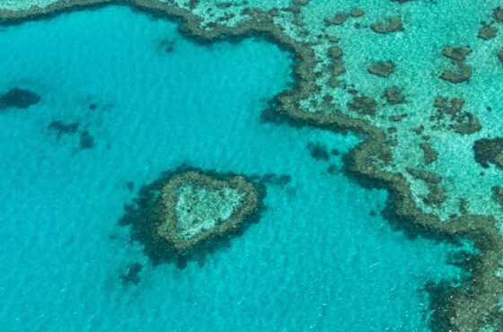 6-Day Cairns & Great Barrier Reef Adventure